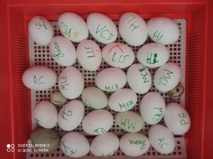 Bol de pâtes au profit des Amis des Enfants du Monde