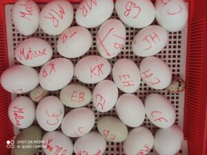 Bol de pâtes au profit des Amis des Enfants du Monde