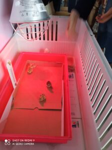 Bol de pâtes au profit des Amis des Enfants du Monde