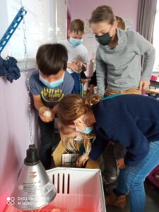 Bol de pâtes au profit des Amis des Enfants du Monde