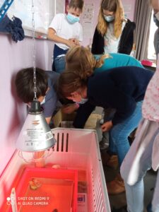 Bol de pâtes au profit des Amis des Enfants du Monde