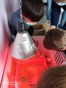 Bol de pâtes au profit des Amis des Enfants du Monde