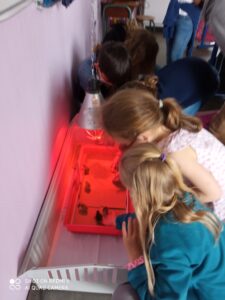 Bol de pâtes au profit des Amis des Enfants du Monde