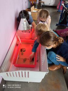 Bol de pâtes au profit des Amis des Enfants du Monde