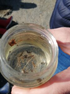 Bol de pâtes au profit des Amis des Enfants du Monde