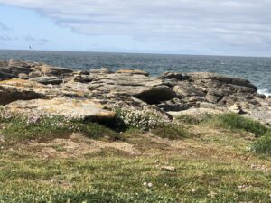 Bol de pâtes au profit des Amis des Enfants du Monde