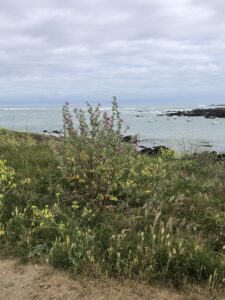 Bol de pâtes au profit des Amis des Enfants du Monde